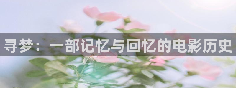 星辰影院入口：寻梦：一部记忆与回忆的电影历史