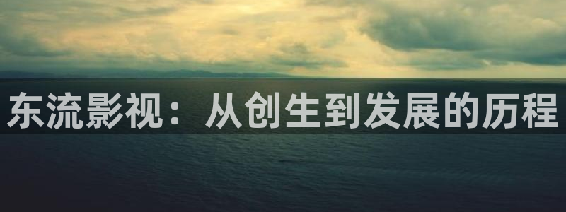 星辰影院在线看：东流影视：从创生到发展的历程