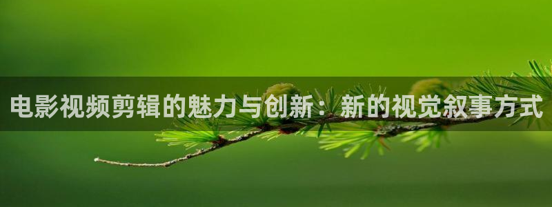 奔跑吧第一季星辰影院：电影视频剪辑的魅力与创新：新的视觉叙事方式