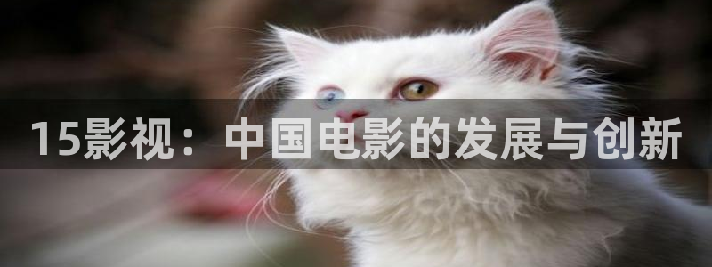 长安三万里星辰影院